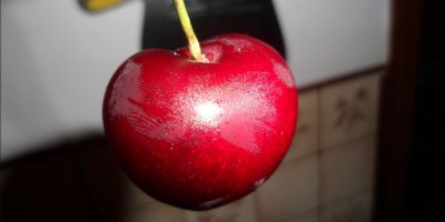 È italiana la ciliegia più pesante del mondo: i...