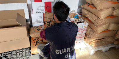 Ripieno degli involtini primavera pestato coi p...