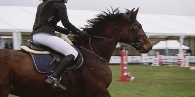 Tokyo 2020: un cavallo colpito con un pugno e u...