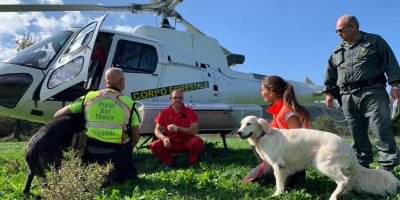 Giornata mondiale del cane, quando Fido salva l...