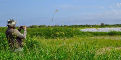 Birdwatching, tra natura e voli incantati: cos&...