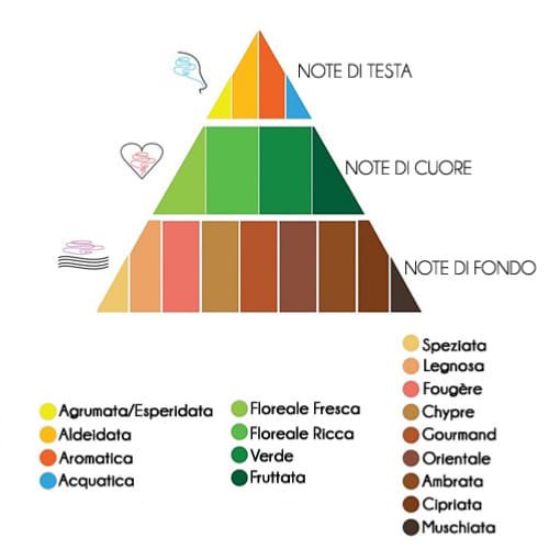 Profumo: piramide olfattiva