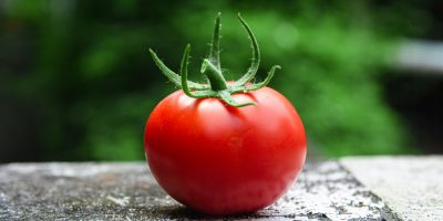 Pomodoro: re incontrastato della tavola italiana