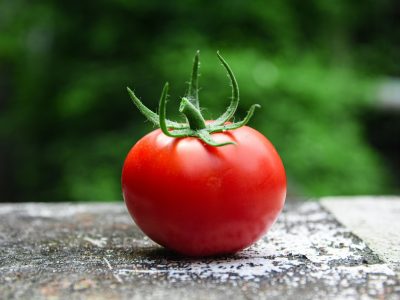 Pomodoro: re incontrastato della tavola italiana