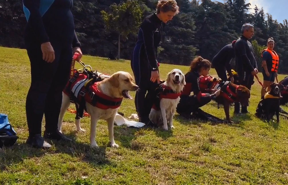cani da salvataggio