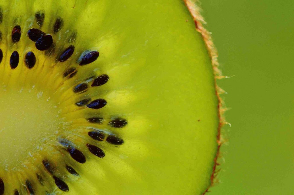 kiwi