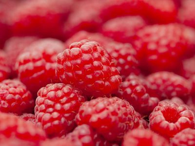 Lamponi alleati della salute
