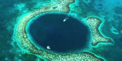 In dieci anni il corallo nel mondo è diminuito ...