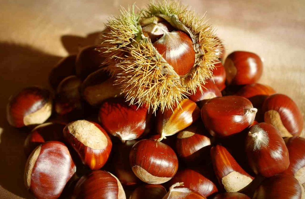 castagne