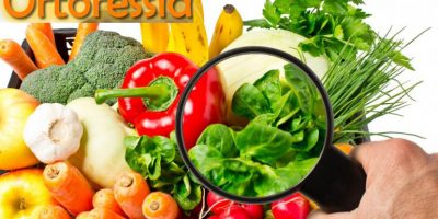 Ortoressia, quando l’attenzione per il cibo div...