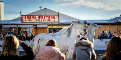Fieracavalli, 100mila visitatori in due week end