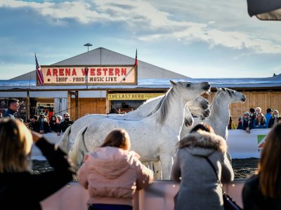 Fieracavalli, 100mila visitatori in due week end
