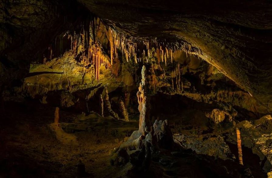 La grotta di Arma Veirana, a Erli, nei pressi di Albenga