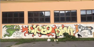 Geremia vince la battaglia a scuola: approvato ...