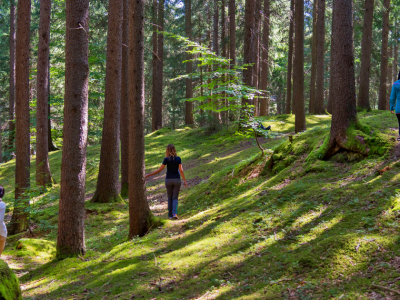Forest Bathing, che cos’è e quali sono i benefici per l’uomo