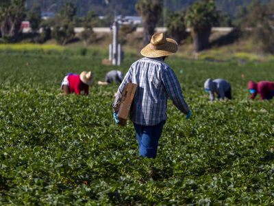Caporalato a Foggia, torna libera la moglie del prefetto Di Bari