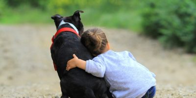 La convivenza tra bambini ed animali domestici,...