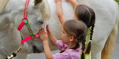 I benefici dell’equitazione sui bambini e l’età...