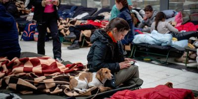 Guerra Ucraina, quasi 60 mila i profughi arriva...