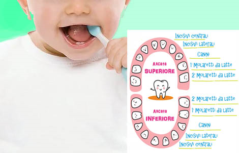 dentizione bambini