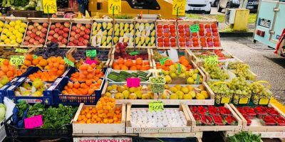 Coldiretti: “Con caldo record di Caronte ...