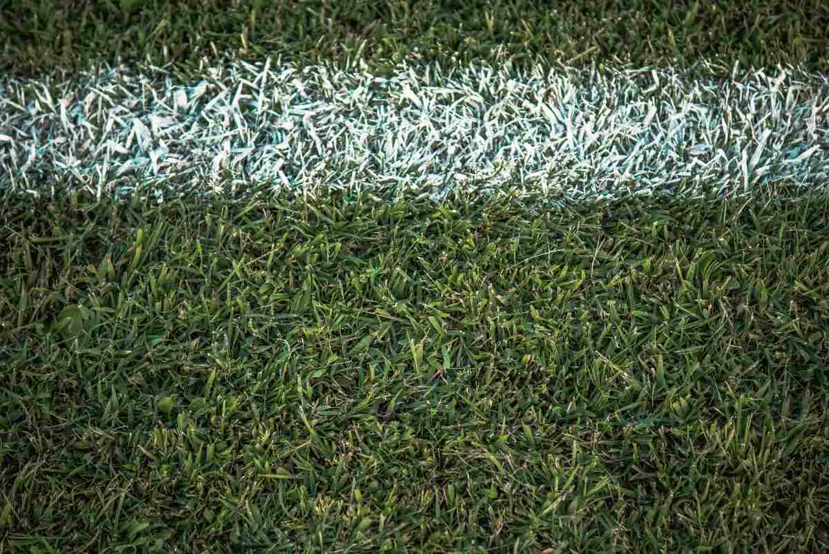 Campionato europeo di calcio 2024 finalmente una chance per l'Italia?