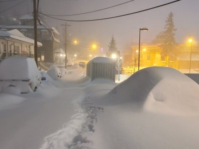 Tempesta polare Usa: 7 Stati dichiarano lo stato di emergenza