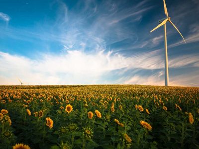 Come conciliare risparmio energetico e sostenibilità ambientale: consigli utili