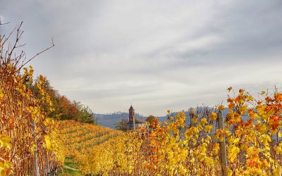 Dove andare in Italia in autunno: i luoghi da scoprire quando i turisti se ne vanno